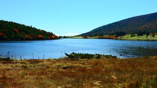 紅葉が綺麗でした