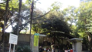 大きな集会やらコンサートができる場所type押して有名