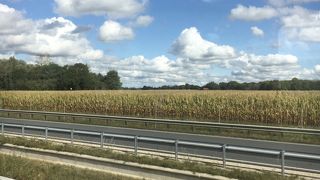 空港から中央駅