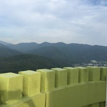 展望台からの景色