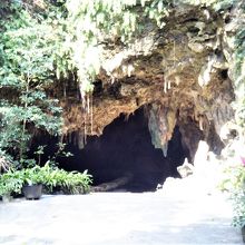 洞窟入口。