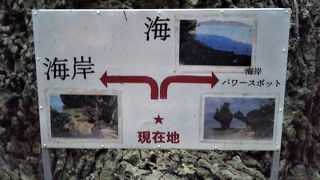 珍しい海とつながった鍾乳洞