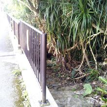 この階段を降りるとすぐ。