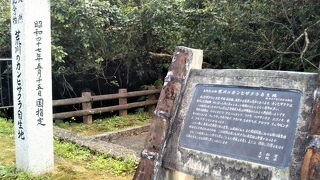 ちいさ～な滝。