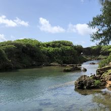 海岸に天然プール