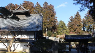 １０年の平成の大修理が終わり、美しい襖絵が復活しました。