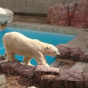 .男鹿半島にある水族館、小さいが回りの景色も内容も充実