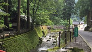 周りの苔が素晴らしい