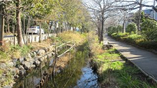 落ち着きと趣が感じられる公園です
