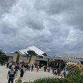 見応えのある水族館