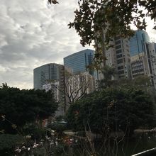 ビルと自然のギャップ