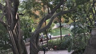 都会のオアシス 子連れにもオアシス的公園