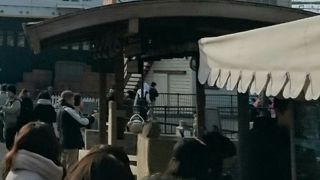 フルーツを買えます