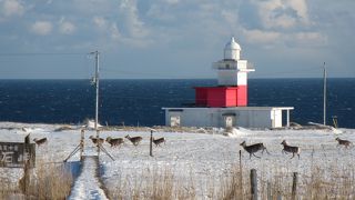 冬に訪れると…