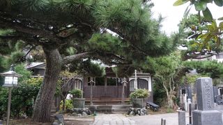 ひなびた雰囲気は否めません