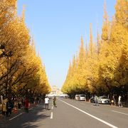 途中から歩行者天国になりました