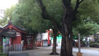 木の配置が良い