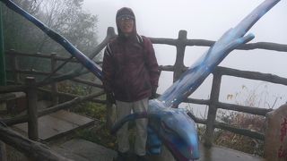 濃霧で何も見えない