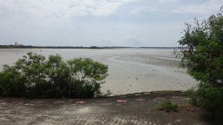 だいぶ干上がっていました