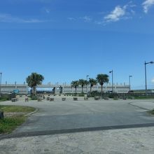 駐車場入口にシーサー