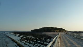 青島散策なら朝早くがおすすめです