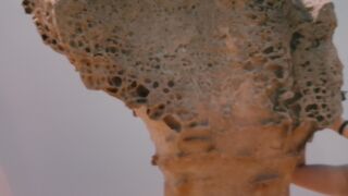 クィーンズヘッドの首がまだ太かったです