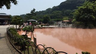 血の池地獄をみて