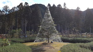 丹波市立薬草薬樹公園 リフレッシュ館