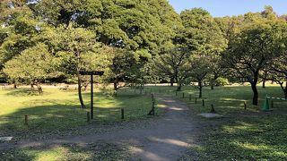 こじんまりとした梅林