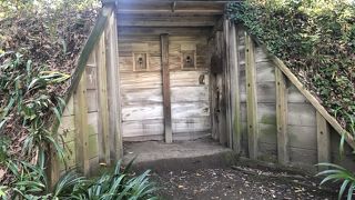 雑木林の中に忽然とあらわれる