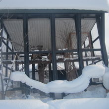 飼育舎は動物毎に個別で数か所並んでいる感じです