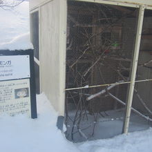 エゾモモンガ舎の様子