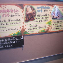 最近亡くなったジュンは、大往生でした…