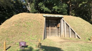 こちらの方が開けた大きな鴨場