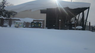 冬は開放していない、とのことでした