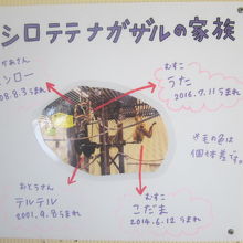 家族構成はこちらで。