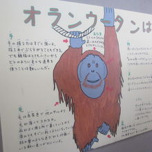 イラスト解説の一例