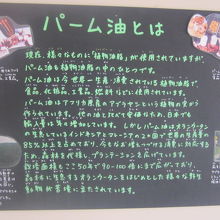 我々の生活にも大きく関係しているパーム油のお話