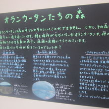 そんな経済活動が、森を奪っているという啓蒙解説の様子