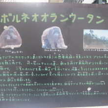 個々の解説もされていました