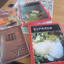 カエルの本を色々と探して下さいました。有難うケロ～。