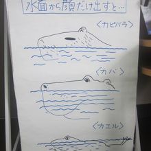 カエルマニア的には、採用してくれてお礼が言いたいケロ～！