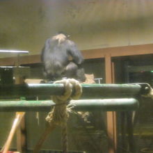 大体、それぞれの子の好みの寝る場所は決まっているそうで…