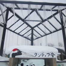 タンチョウ舎の様子