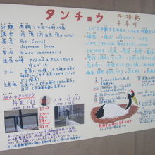 イラスト解説の一例