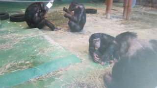 昼夜の様々な過ごした方が面白かったです