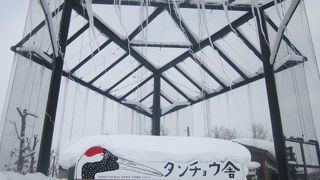 コンパクトなサイズで、観察には適した飼育舎だと思います