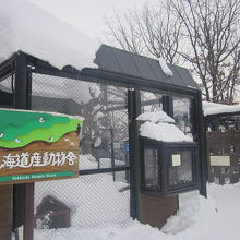 種別に檻が横並びしている感じの飼育舎となっています