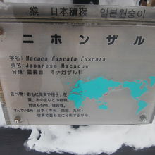 種の解説はこちらで。