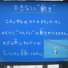 案外、苦手な動きもあるんですね( ´∀｀ )。